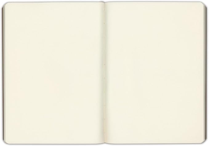 Gallery Leather Journal Notebook - 192 Pages, Softcover, For Men and Women | For Writing, Work & Travel, Handcrafted - Acadia Black - 8 x 5.5, Desk Blank