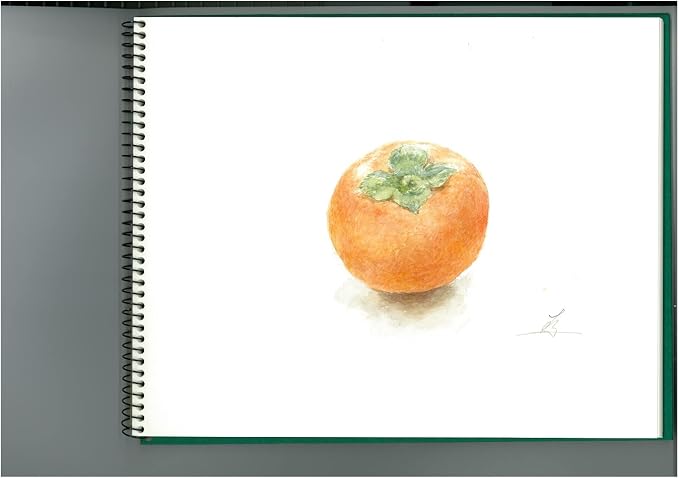 Maruman VifArt Watercolor Artbook- Premium Medium Watercolor Paper, Natural White, F2, 7.83" x 10.28", 15 Sheets/ 30 Pages, Reinforced Cover Sketchbook for Watercolor & Mixed Media, Green