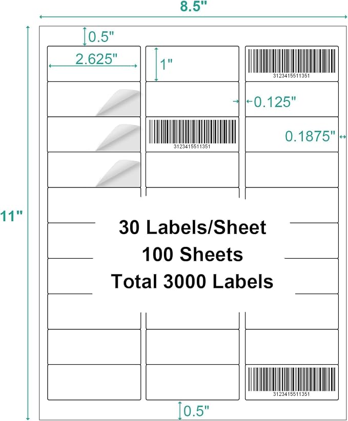 100 Sheets 3000 Labels Printable Address Labels for Laser & Inkjet Printer, 1" x 2-5/8" White Blank Shipping Address Barcode Labels, Strong Adhesive for FBA Label, Easy to Peel