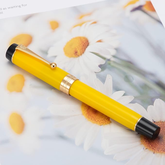 Jinhao 100 Fountain Pen Celluloid Classic Style, #6 Nib Smooth Writing Instrument with Refillable Converter and Pen Case Set