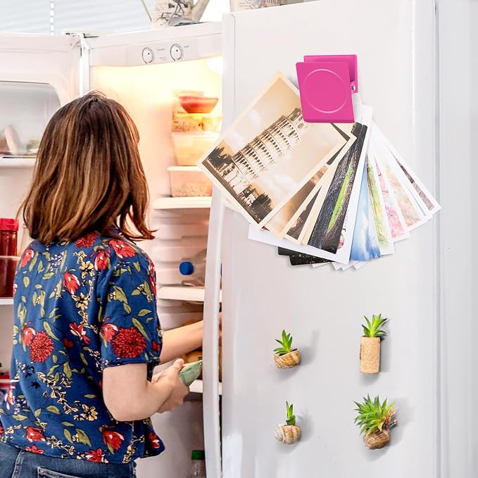 FINDMAG 4 Pack Magnet Clips, Colorful Magnetic Clips for Refrigerator Use