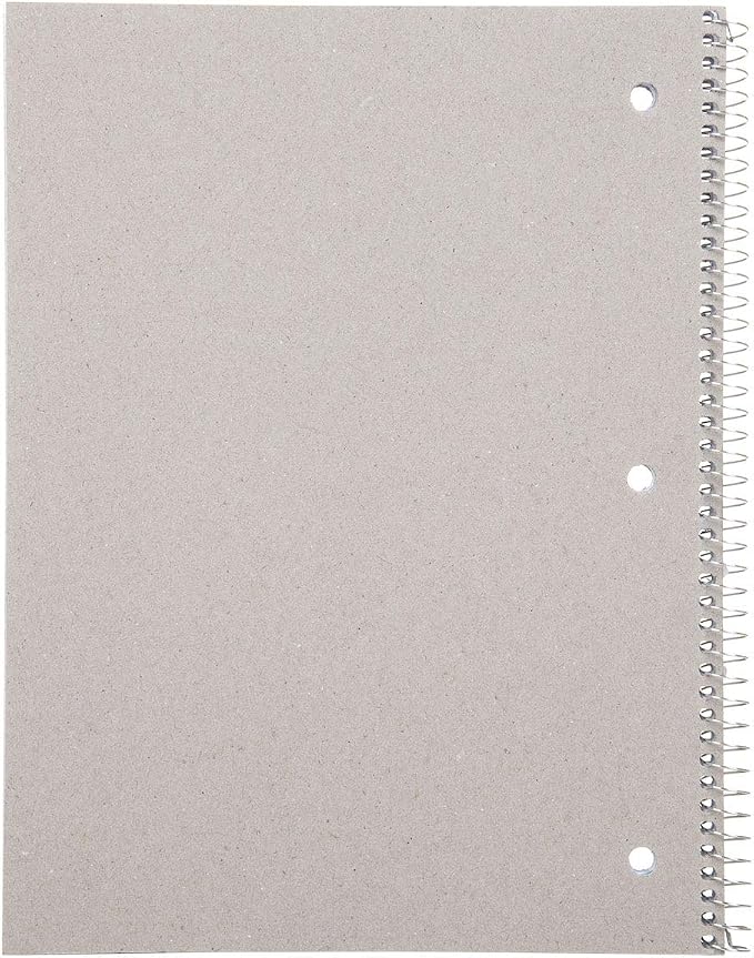 Mintra Office Spiral Notebooks, Wirebound, Journals for School, Work, Business, Aesthetic Stationery, Writing Pads, Teacher & Student Supplies (4, Solid Color, Graph)