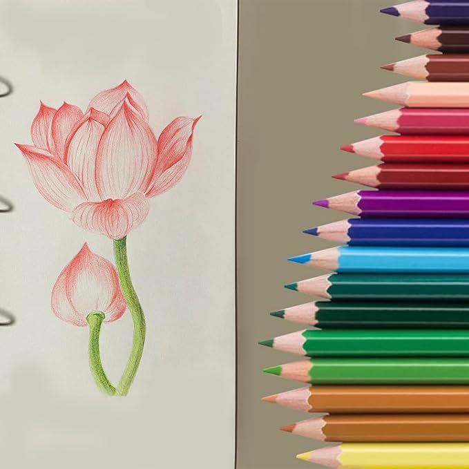 SKKSTATIONERY 50Pcs Colored Pencils,50 Vibrant Colors, Drawing Pencils for Sketch, Arts, Coloring Books, Back to school