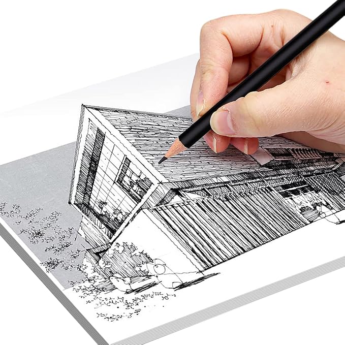 SIQITECHNO 12Pcs Black and White Based Colored Pencils Wooden Oil Color Pencils Premier Soft Core Colored Pencil for Drawing Sketching Shading