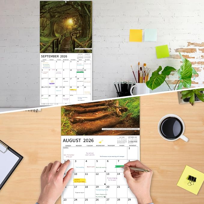 2026-2027 Wall Calendar, 2026-2027 Pathways Calendar, 18 Months from Jul 2026 - Dec 2027, 12" x 24" Open, Thick Paper, Hanging Holes, Large Blocks, Holidays, Gifts for Planning Organizing