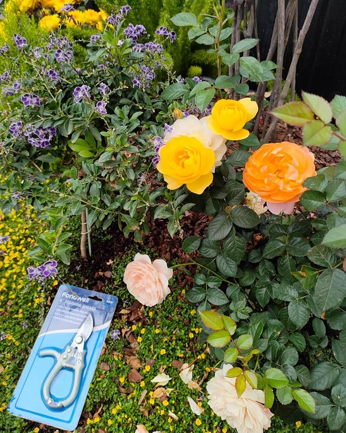 Fondwell 6" Small Bypass Pruners Garden Shears Plant Clippers for Gardening | 1-Pack Lightweight Pruning Shears, Rust Resistant, Comfortable Use - Best for Delicate Cutting Fresh Flower Stems Herbs Buds