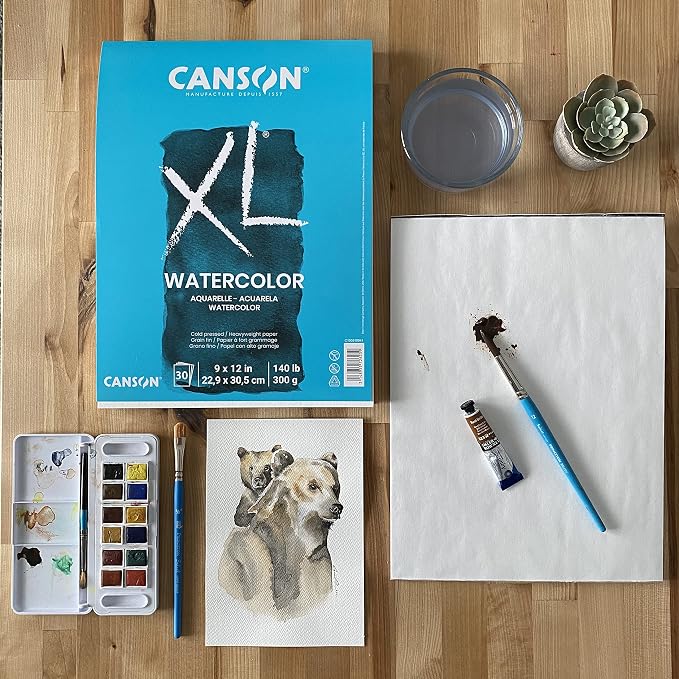 Canson XL Series Watercolor Paper Pad, 9" x 12", 30 Sheets/Pad, 6 Pads | Cold Press Textured Paper for Paint, Pencil, Ink, Charcoal, Pastel, and Acrylic, 140 lb. (300 gsm)