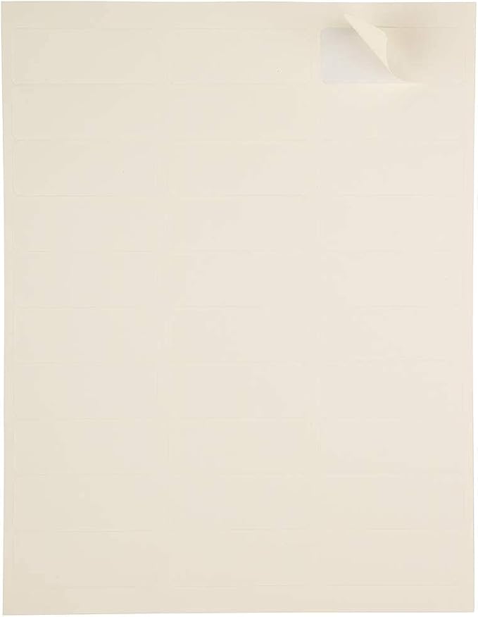 JAM PAPER Return Address Labels - Standard Mailing - 1 x 2 5/8 - Ivory - 120 Shipping Labels/Pack