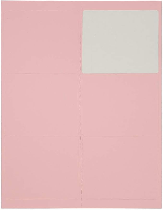 JAM PAPER Shipping Address Labels - Large - 3 1/3 x 4 - Baby Pink Pastel - 120/Pack
