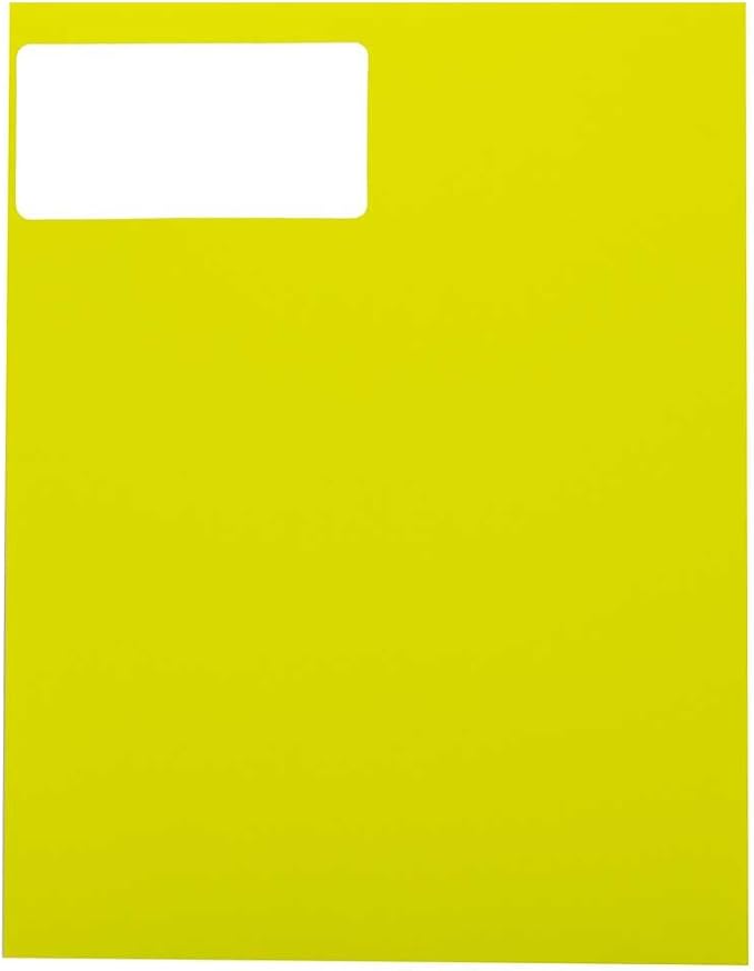 JAM PAPER Shipping Address Labels - Standard Mailing - 2 x 4 - Assorted Bright Neon Fluorescent - 6 Packs of 20 Labels - 120 Labels Total