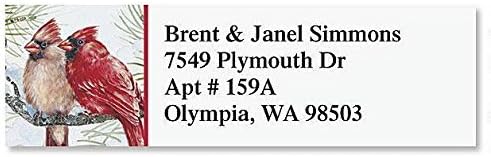 Colorful Images Return Address Labels, 240ct | Garden Friends Birds, 240 Count, Self-Adhesive on Flat-Sheet Labels, Customize with Name & Shipping Address, 6 Designs