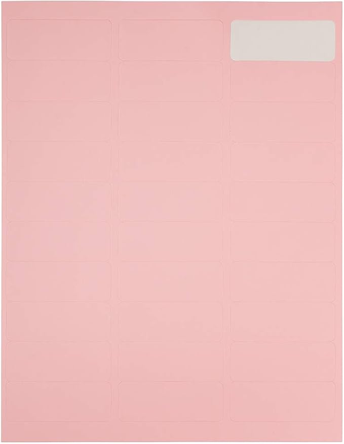 JAM PAPER Return Address Labels - Standard Mailing - 1 x 2 5/8 - Baby Pink Pastel - 120 Shipping Labels/Pack