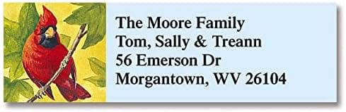 Colorful Images Return Address Mailing Labels | Birds of America, 240 Count, Self-Adhesive on Flat-Sheet Labels, Customize with Name & Shipping Address