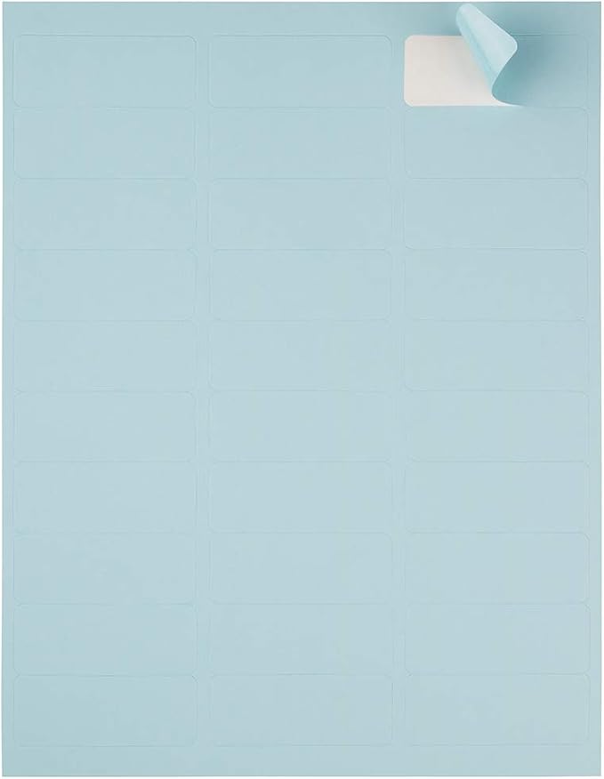JAM PAPER Return Address Labels - Standard Mailing - 1 x 2 5/8 - Baby Blue - 120 Shipping Labels/Pack