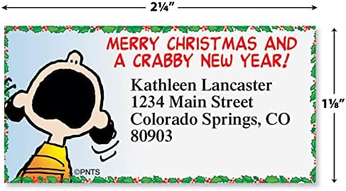 Colorful Images Christmas Capers Peanuts Return Address Mailing Labels, Personalize with Name & Shipping Address, Set of 144 Self Adhesive, Easy Peel Flat Sticker Label Sheets, Large, 8 Designs