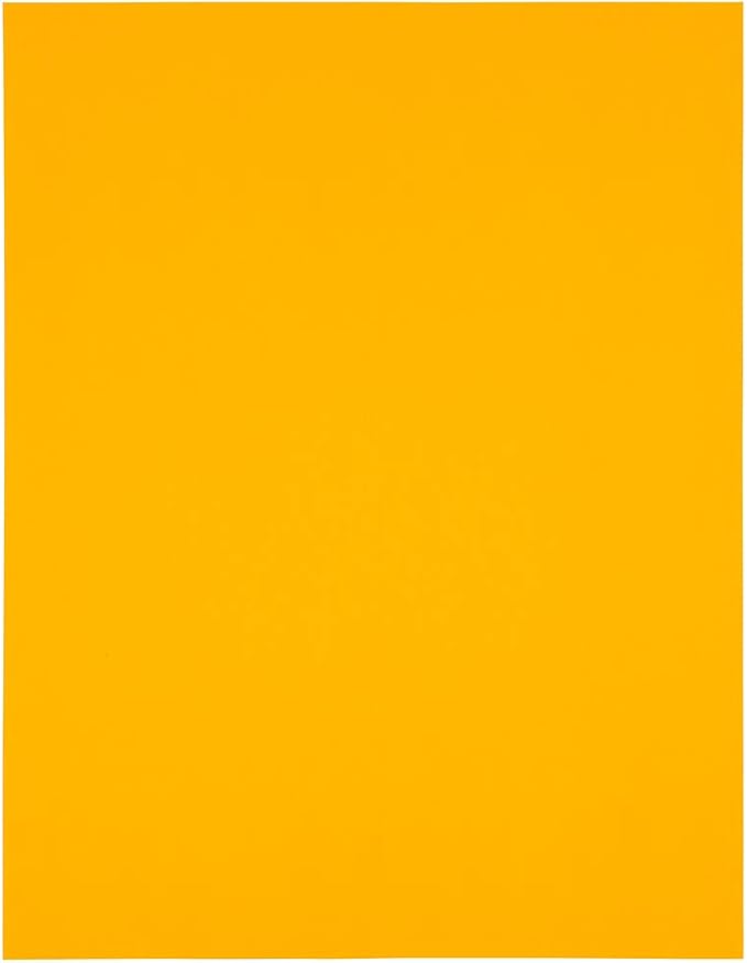 JAM Paper Mailing Address Labels - Extra Large - 4" x 5" - Neon Fluorescent Orange - 120/pack