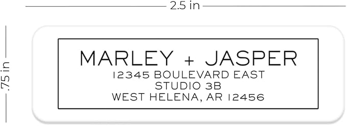 Simple Modern Outline Rolled Address Labels/Roll of 250 Square Box Personalized Address Labels/Designer Return Address Stickers in Elegant Plastic Dispenser
