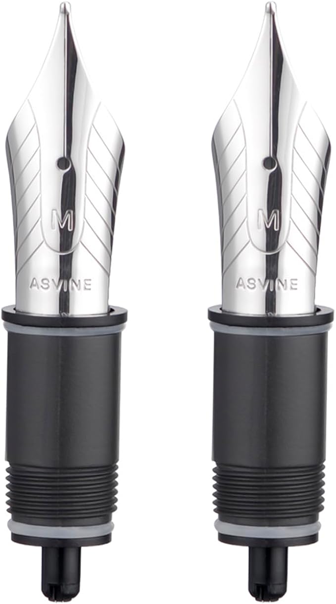 Asvine Set of 2 Number 8 Fountain Pen Replacement Medium Nibs - Compatible with C2000, V800 and C80- Silver