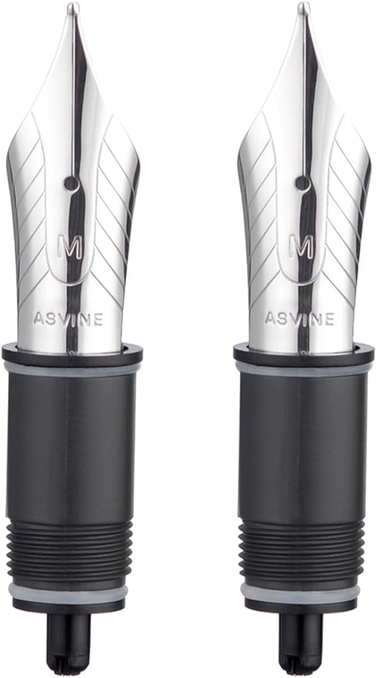 Asvine Set of 2 Number 8 Fountain Pen Replacement Medium Nibs - Compatible with C2000, V800 and C80- Silver