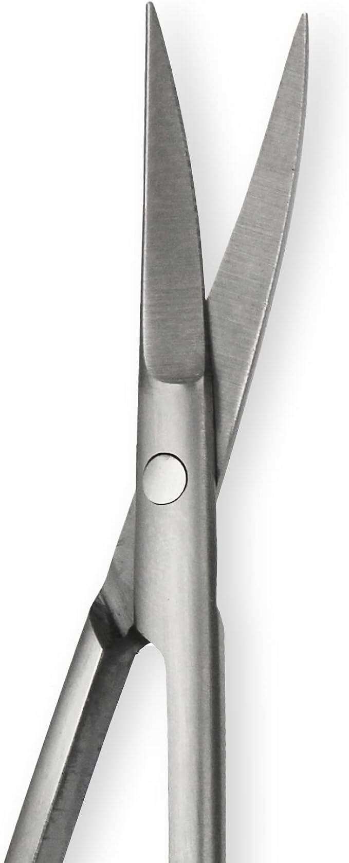 Amazon Basics Beauty Scissors, Stainless Steel, Curved Precision Cutting, Multipurpose Grooming Tool, Easy to Use, Silver