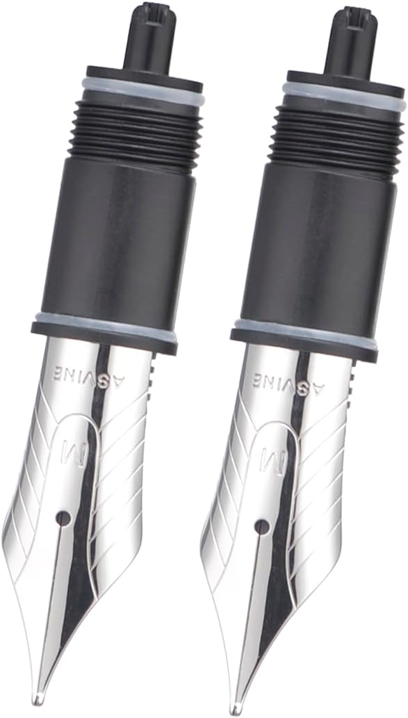 Asvine Set of 2 Number 8 Fountain Pen Replacement Medium Nibs - Compatible with C2000, V800 and C80- Silver