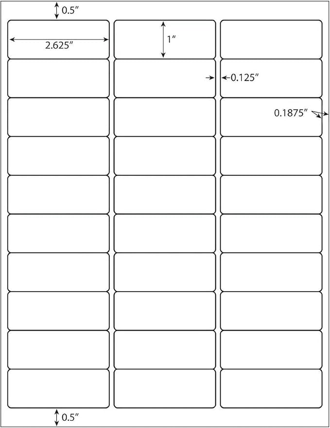 LabelMore 30 up Labels 1" X 2-5/8" Shipping Address FBA Label for Laser and Inkjet Printers (5000 Sheets / 150000 Labels)
