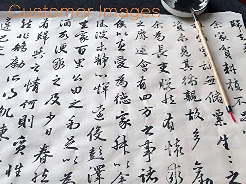 Weasel Hair Chinese Calligraphy Brush Premium Chinese Brush Sumi Brushes 99% Weasel Hair wolf hair for Font 3-5cm, 1pc QingJin