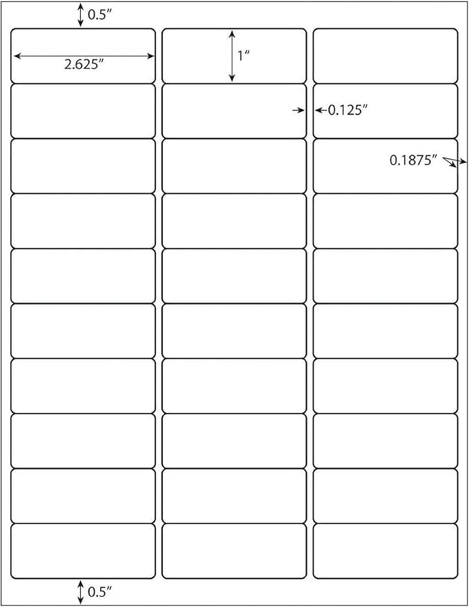 LabelMore 30 up Labels 1" X 2-5/8" Shipping Address FBA Label for Laser and Inkjet Printers (4000 Sheets / 120000 Labels)
