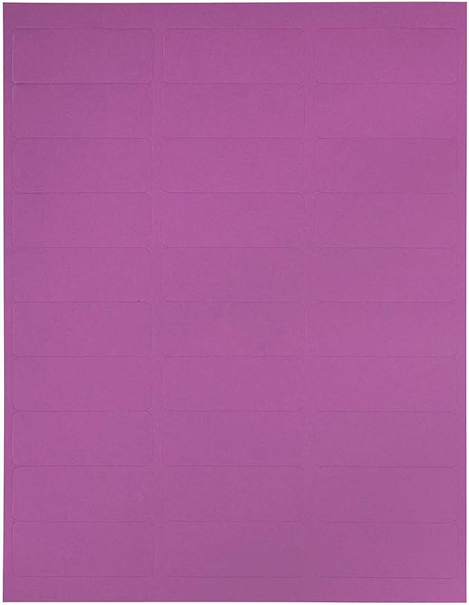 JAM PAPER Return Address Labels - Standard Mailing - 1 x 2 5/8 - Violet - 120 Shipping Labels/Pack