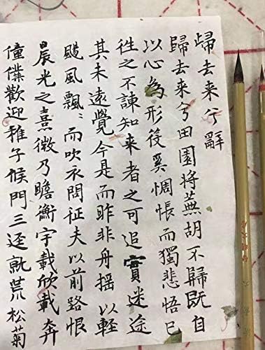 Professional Calligraphy brush, Xiaokai Chinese Brush for Small Regular Script, Chinese Calligraphy Brush, Weasel Hair Brush for Chinese or Japanese Kanji 1pc (QingSu Large 1pc)