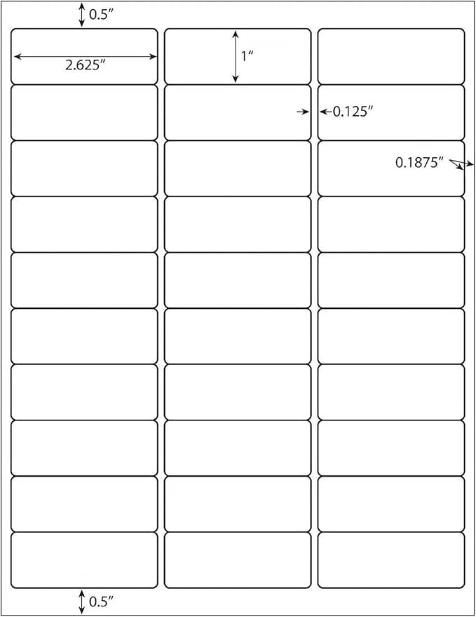 LabelMore Mailing Address Labels, 1" x 2-5/8", 30 up Labels for Laser or Inkjet Printable, 30-Up FBA Labels, 15000 Labels - 500 Sheets
