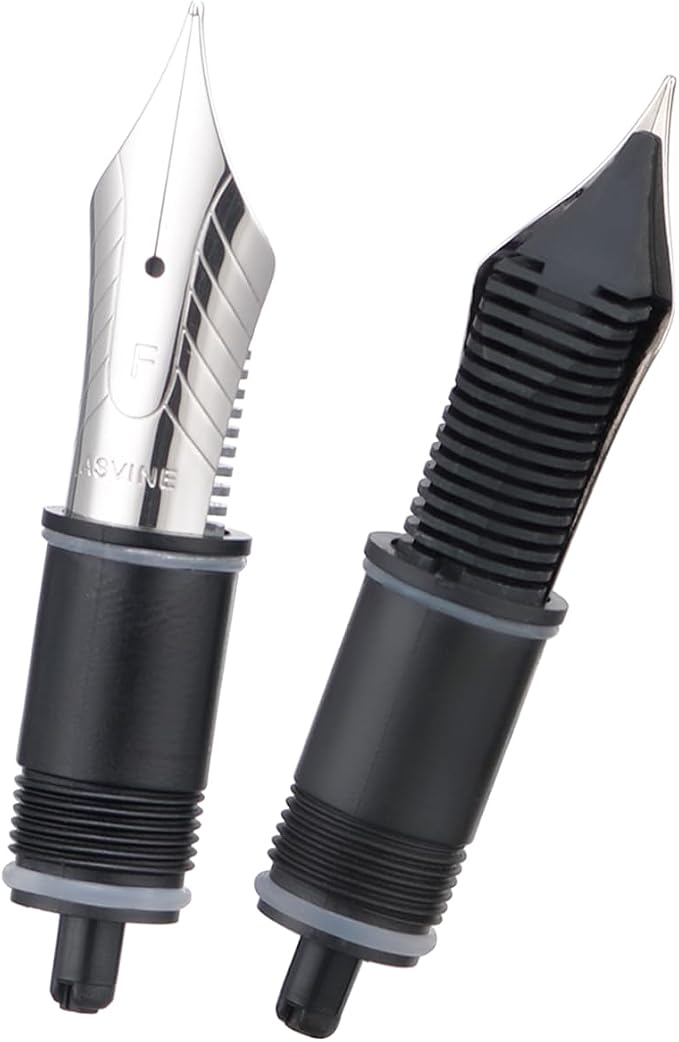 Asvine Set of 2 Number 8 Fountain Pen Replacement Fine Nibs - Compatible with C2000, V800 and C80- Silver