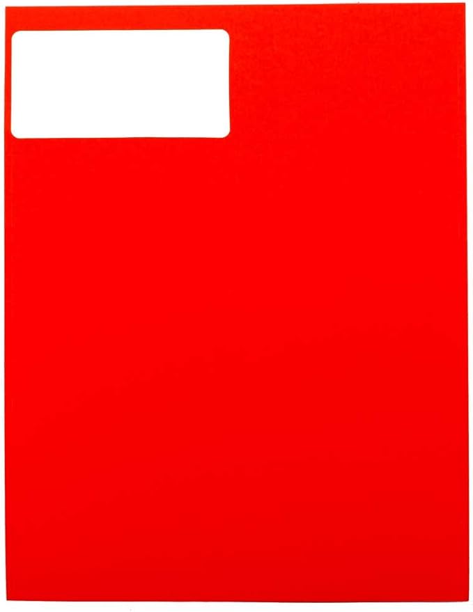 JAM PAPER Shipping Address Labels - Standard Mailing - 2 x 4 - Assorted Bright Neon Fluorescent - 6 Packs of 20 Labels - 120 Labels Total