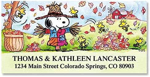 Colorful Images Scarecrow Fall Peanuts Return Address Mailing Labels, Personalize with Name & Shipping Address, Set of 144 Self Adhesive, Easy Peel Flat Sticker Label Sheets, Large