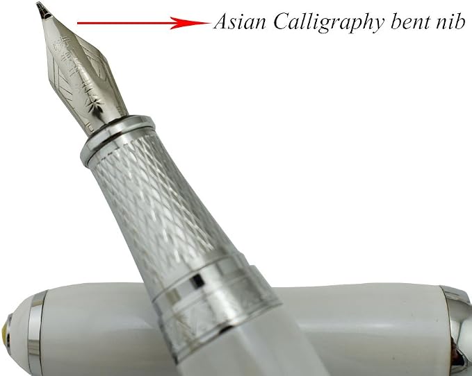 Duke Fude Nib Fountain Pen Medium to Broad Nature Mother Pearl on Cap with Pen Pouch sketching Art Drawing Signature Calligraphy Pen Case Set