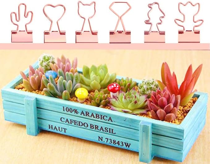 Cactus Binder Clips with Cute Rose Gold Medium Binder Clips in Acrylic Crystal Box for Office School and Home Supplies