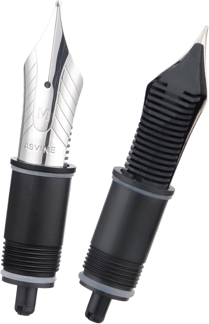 Asvine Set of 2 Number 8 Fountain Pen Replacement Medium Nibs - Compatible with C2000, V800 and C80- Silver