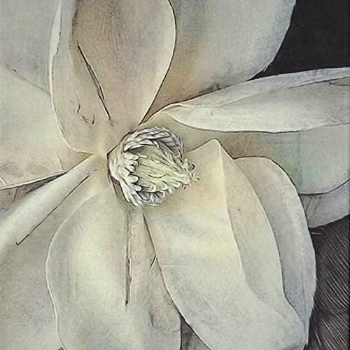 RICCO BELLO Lined Journal Notebook, Magnolia Flower, 5.7 x 8.4-Inches | Hardcover, College Ruled, 96 Sheets / 192 Pages, Pen Holder, For Work & Notes