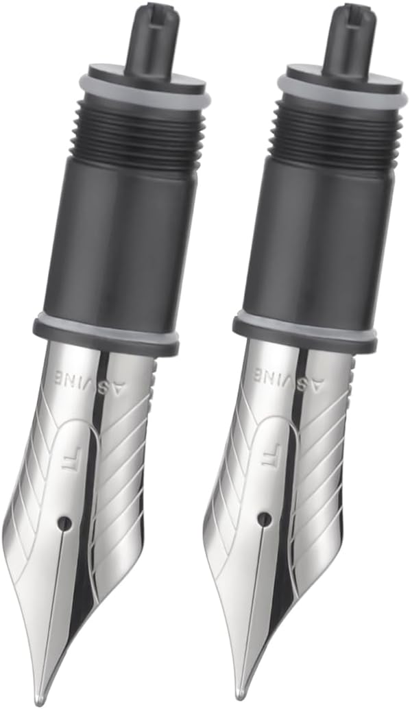 Asvine Set of 2 Number 8 Fountain Pen Replacement Fine Nibs - Compatible with C2000, V800 and C80- Silver