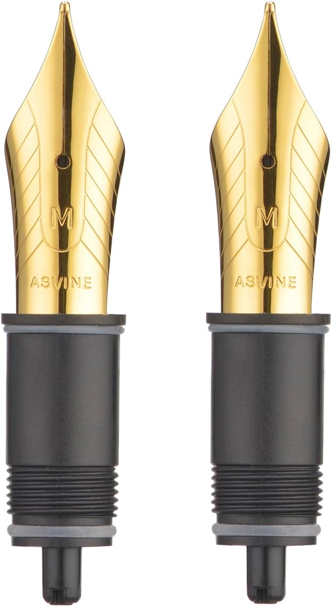 Asvine Set of 2 Number 8 Fountain Pen Replacement Medium Nibs - Compatible with C2000, V800 and C80- Gold
