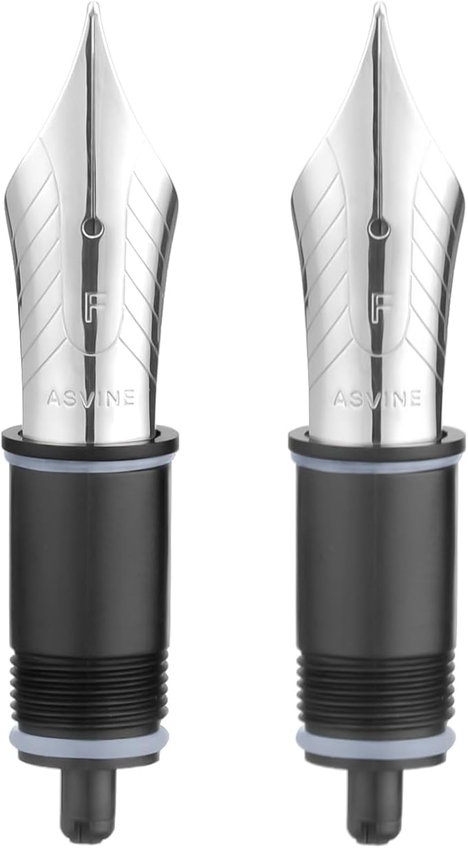 Asvine Set of 2 Number 8 Fountain Pen Replacement Fine Nibs - Compatible with C2000, V800 and C80- Silver