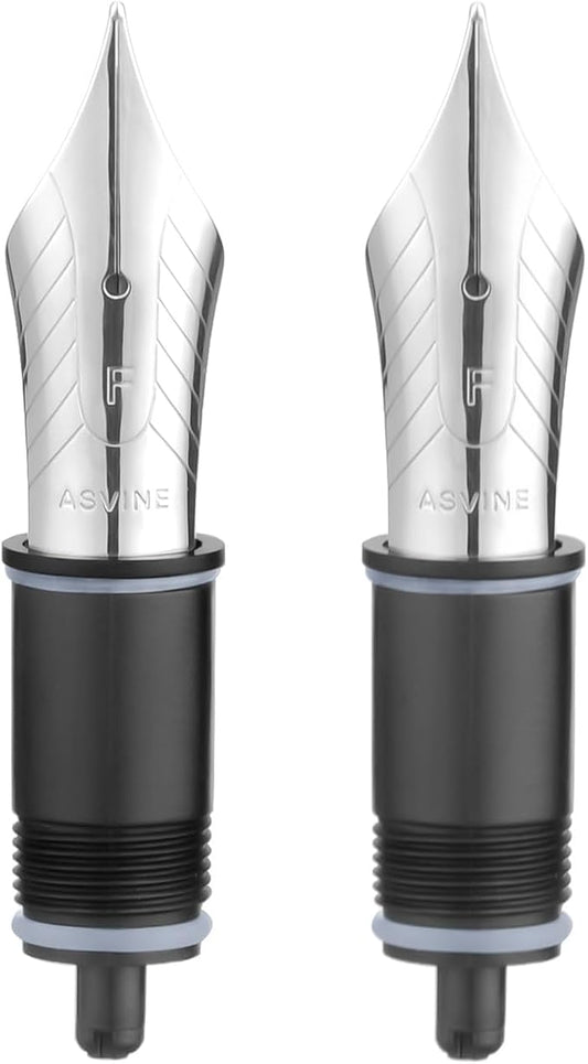 Asvine Set of 2 Number 8 Fountain Pen Replacement Fine Nibs - Compatible with C2000, V800 and C80- Silver