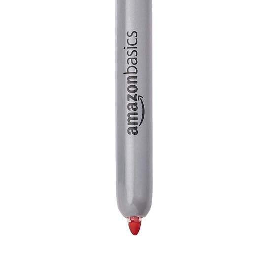 Amazon Basics Retractable Permanent Markers, Quick Drying Fade Resistant Ink, Versatile Art Supplies for Drawing, for Home, School, and Office Use, Assorted Colors, 12 Count (Pack of 2)