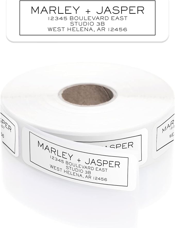Simple Modern Outline Rolled Address Labels/Roll of 250 Square Box Personalized Address Labels/Designer Return Address Stickers in Elegant Plastic Dispenser