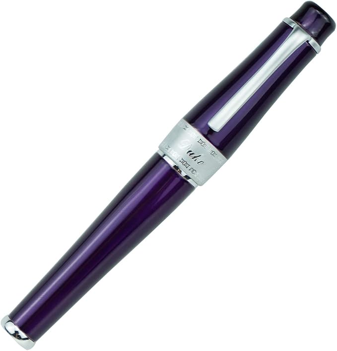 Asvine Duke Luxury Purple Fountain Pen Fine Nib, Charlie Chaplin Series, Unique Design Collection Heavy Pen with Pouch