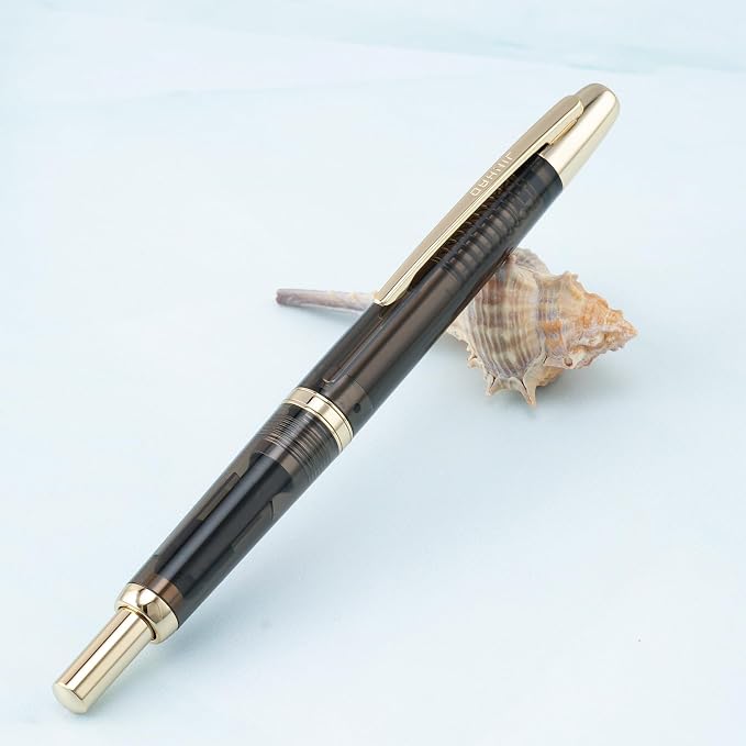Jinhao 20 Retractable Fountain Pen Fine Nib with Converter Resin Writing Gift Pen, Transparent Black with Golden Clip