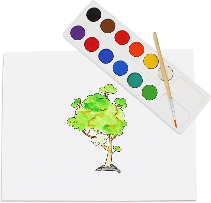 Color Swell Bulk Dry Watercolors Paint Pack and Brushes, 12 Colors, 18 Pack