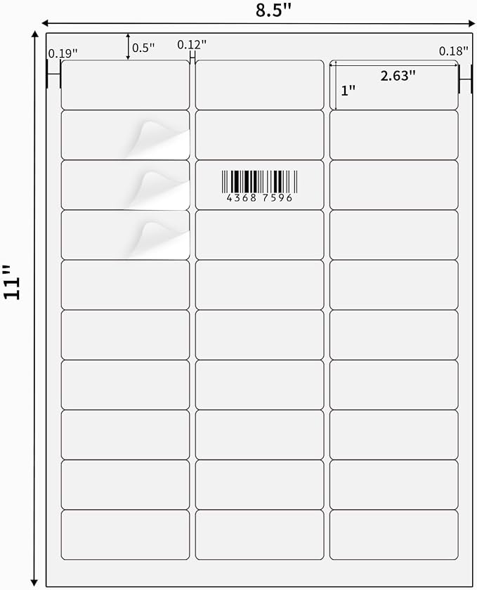 Transparent Stickers Labels - 1" x 2-5/8" Clear Address Labels Mailing Stickers for Laser/Inkjet Printer 8.5"×11"- 20 Sheet/ 600 Label