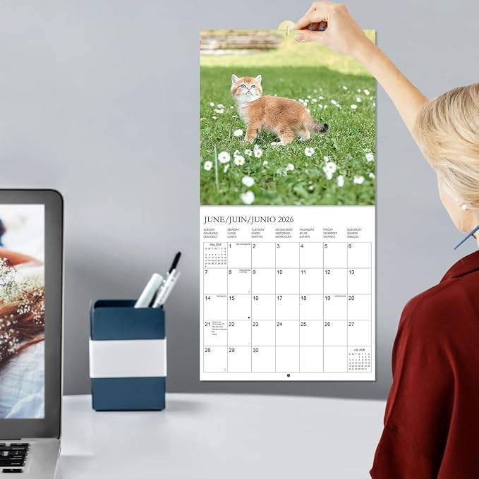 Calendar 2026 - Wall Calendar from January 2026 to December 2026, 3 Languages(English,French,Spanish), 2026 Calendar with Holiday Marked, Premium Paper for Organizing, 12" x 12",Cat