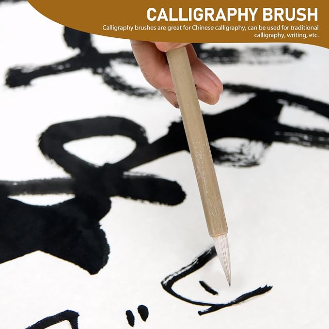 LALAFINA 30Pcs Chinese Calligraphy Pens for Beginners, Drawing Watercolor Calligraphy Brushes for Beginners Ink Brush, 8.66 Inch